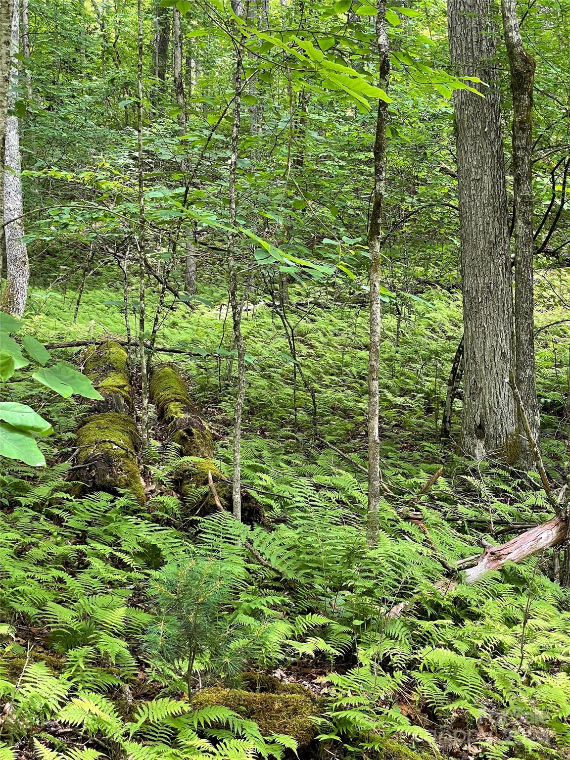 25 Rainbow Trout Drive 25