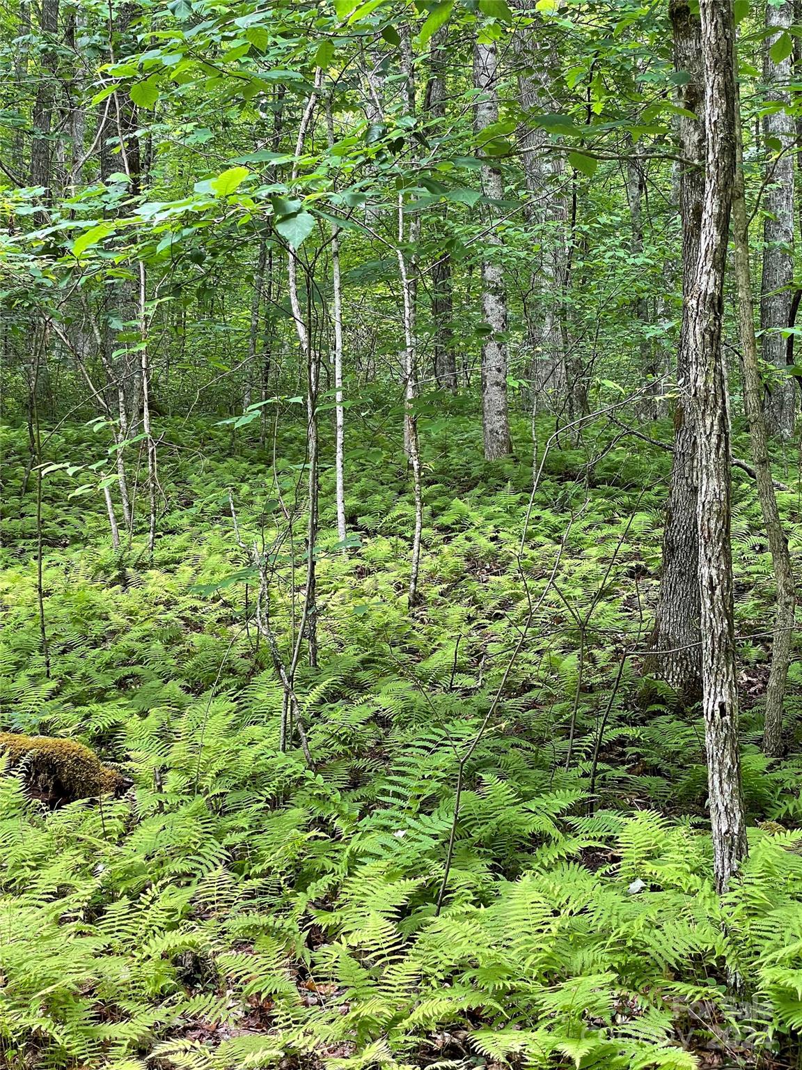 25 Rainbow Trout Drive 25