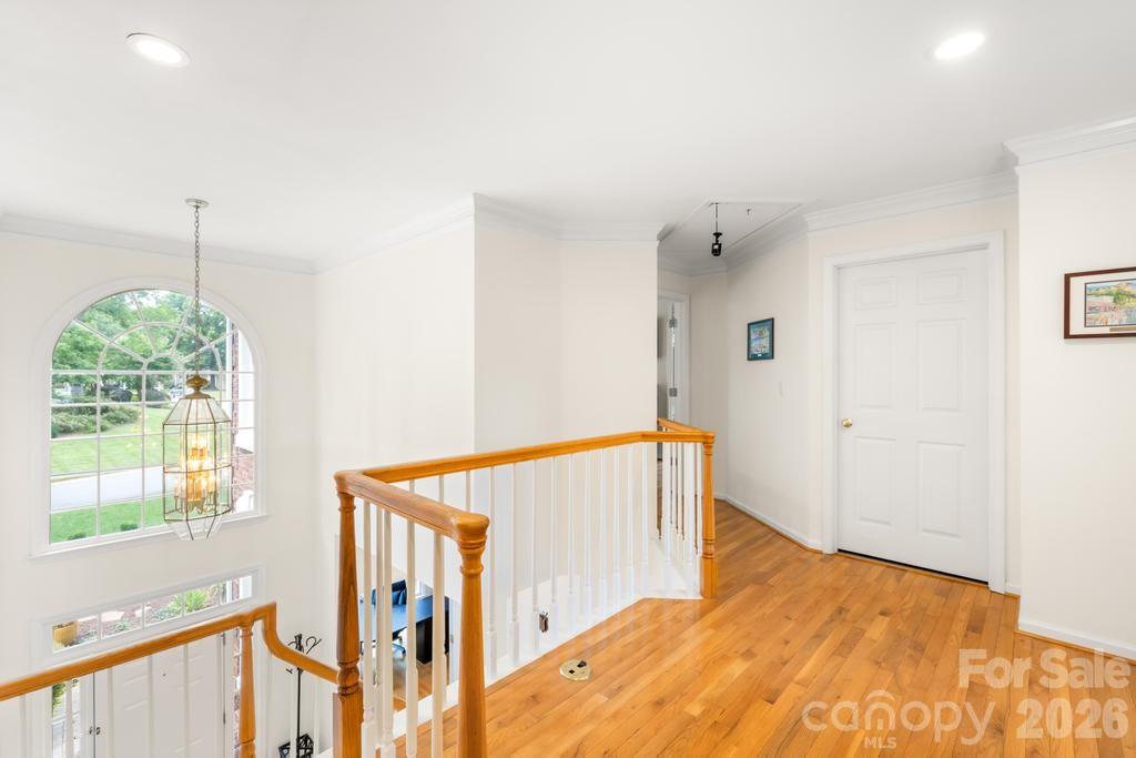 The Hamptons - Residential