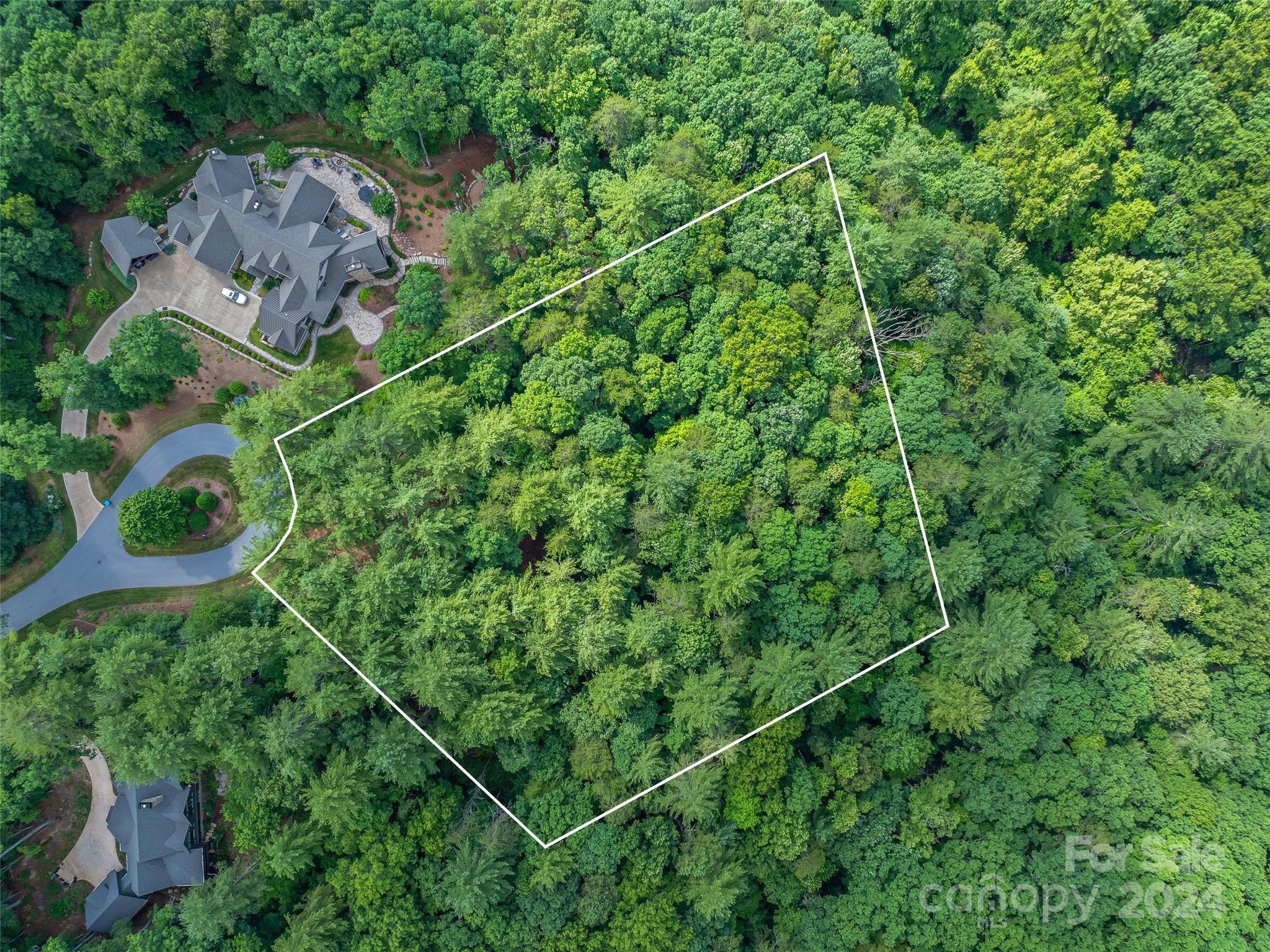 Ramble Biltmore Forest - Land