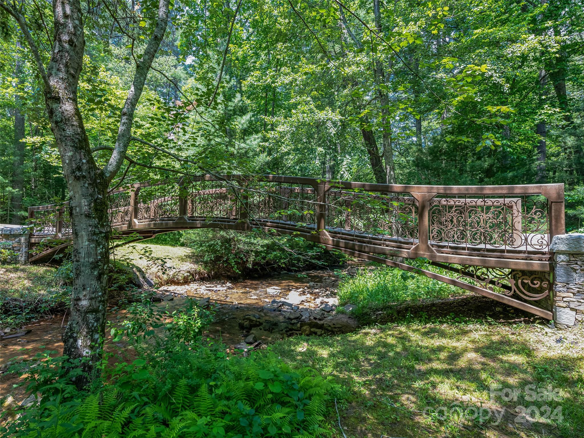 Ramble Biltmore Forest - Land