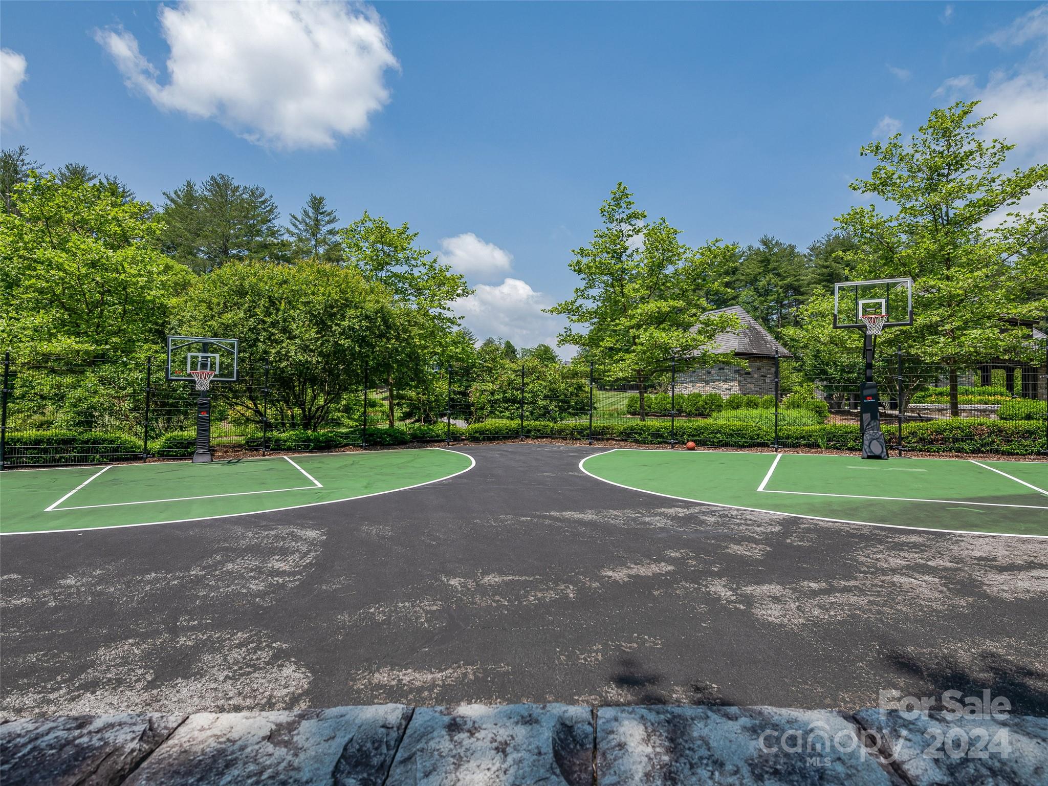 Ramble Biltmore Forest - Land