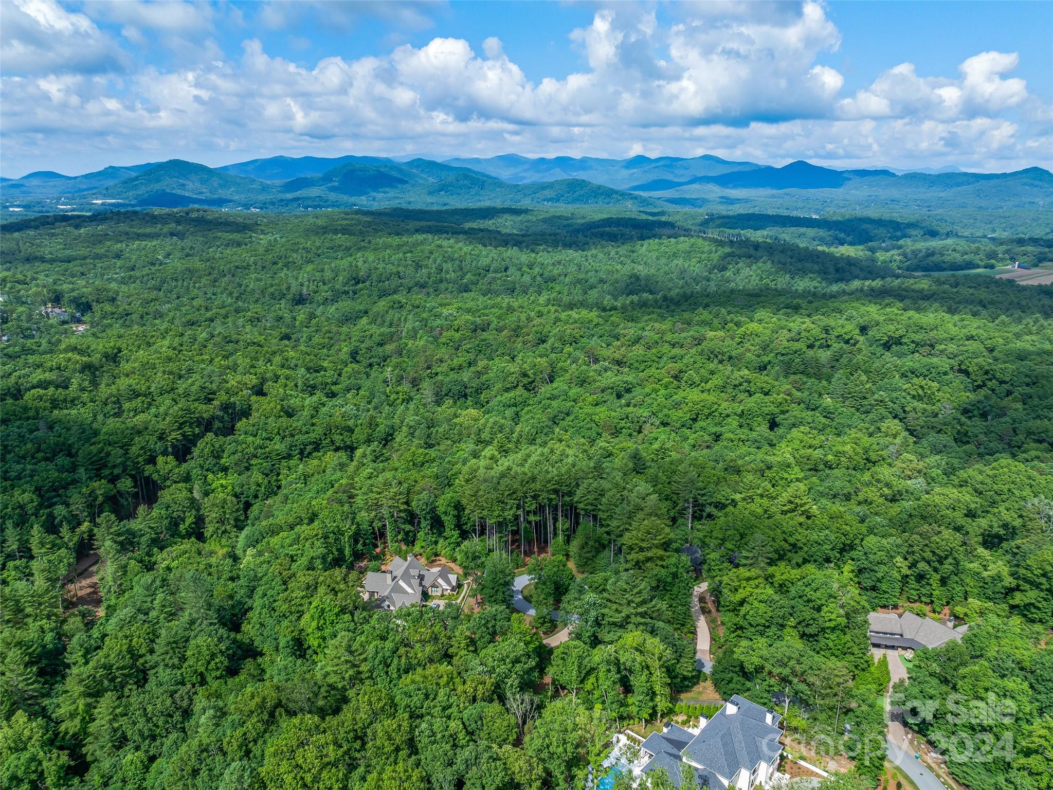 Ramble Biltmore Forest - Land