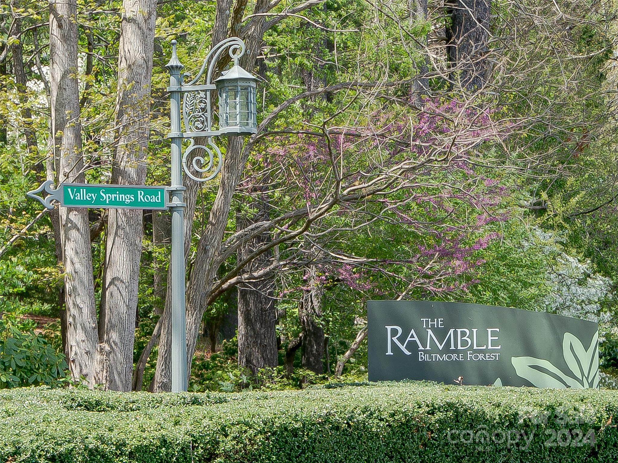 Ramble Biltmore Forest - Land