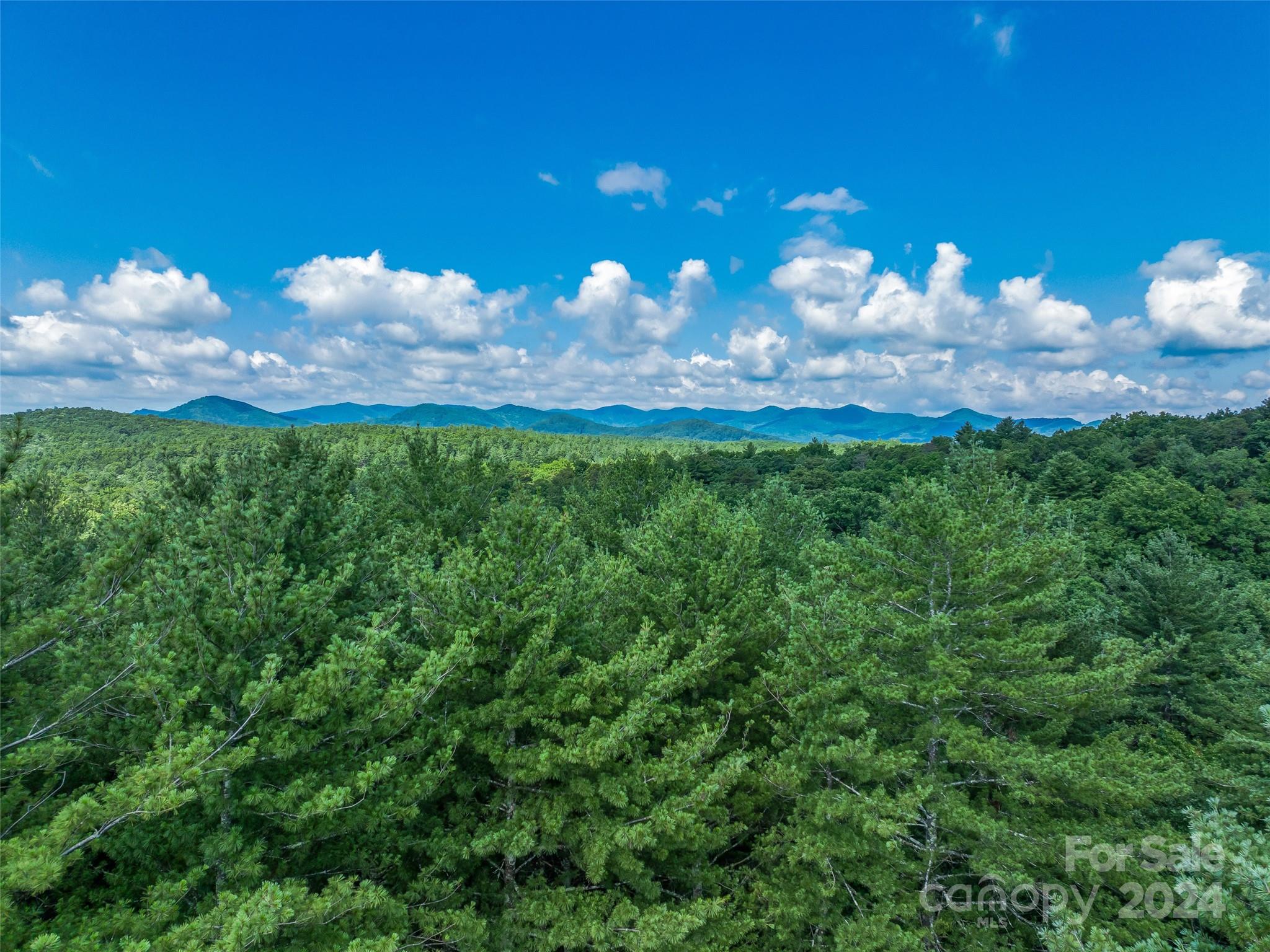 Ramble Biltmore Forest - Land