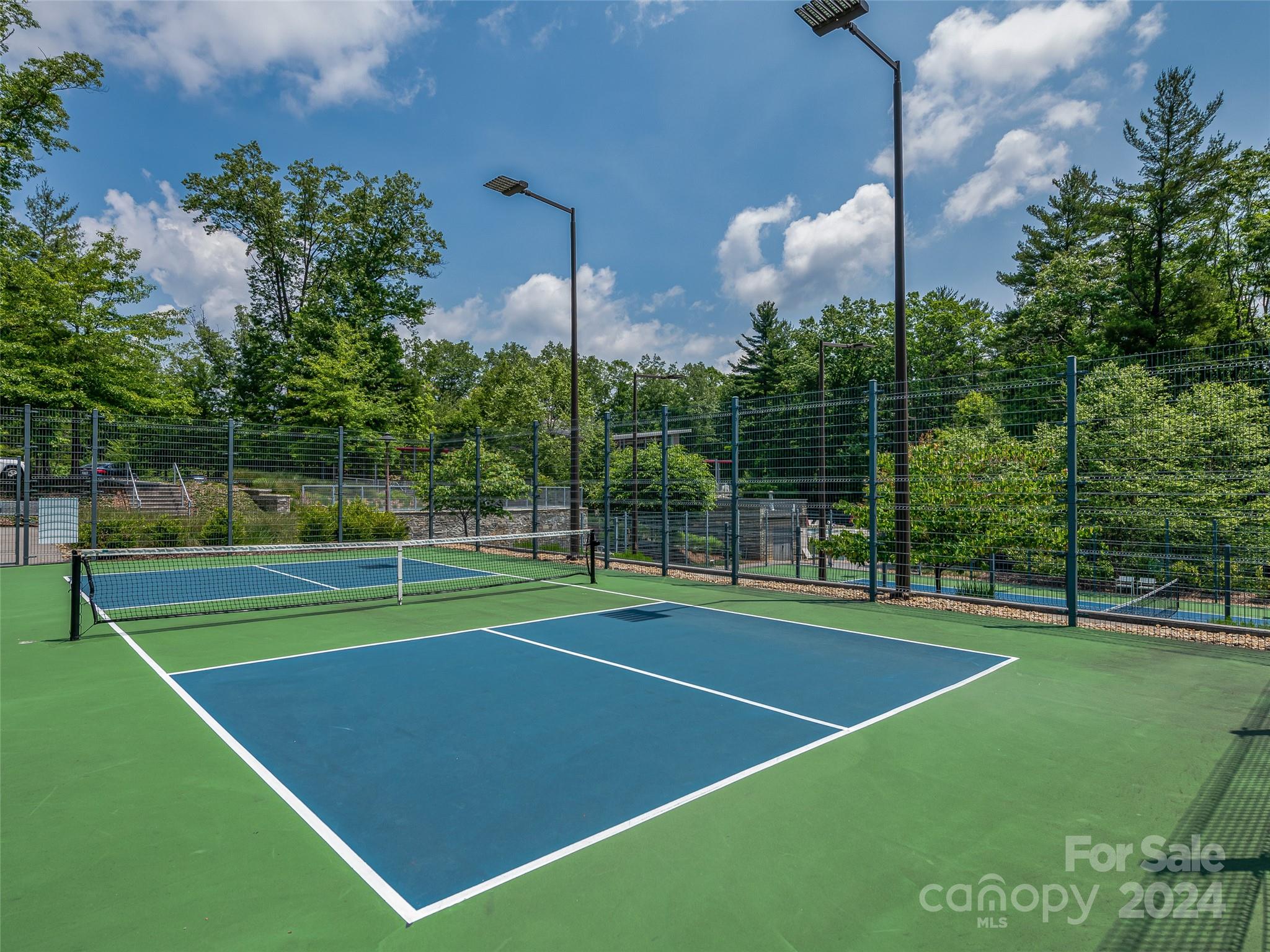 Ramble Biltmore Forest - Land