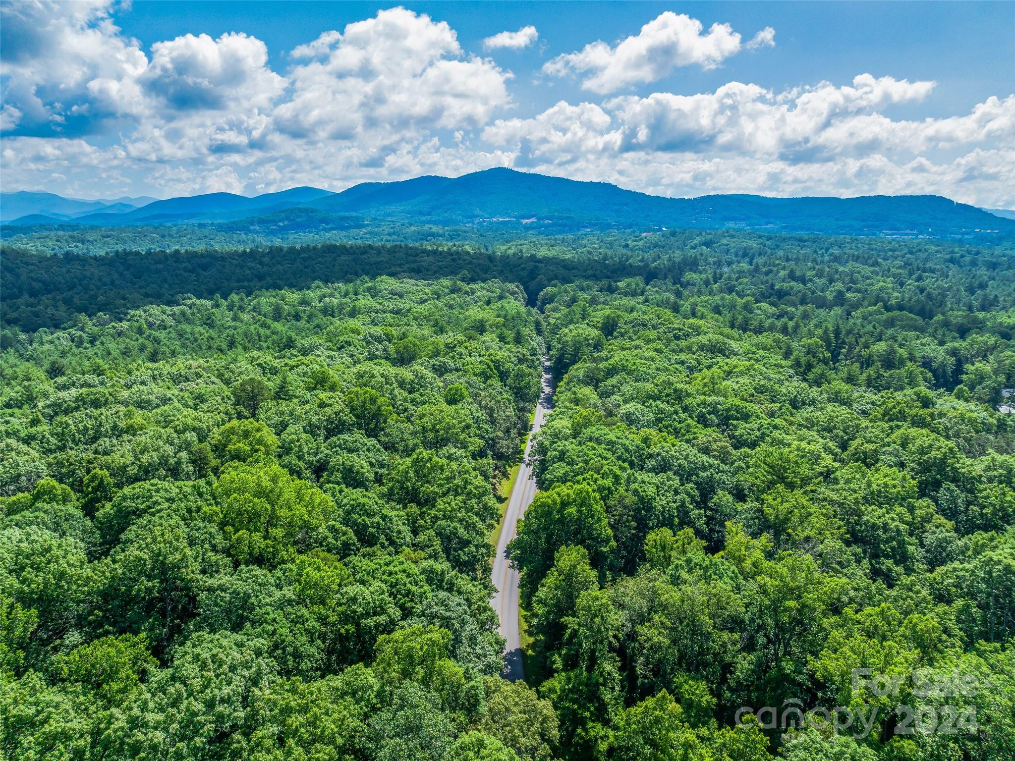 Ramble Biltmore Forest - Land