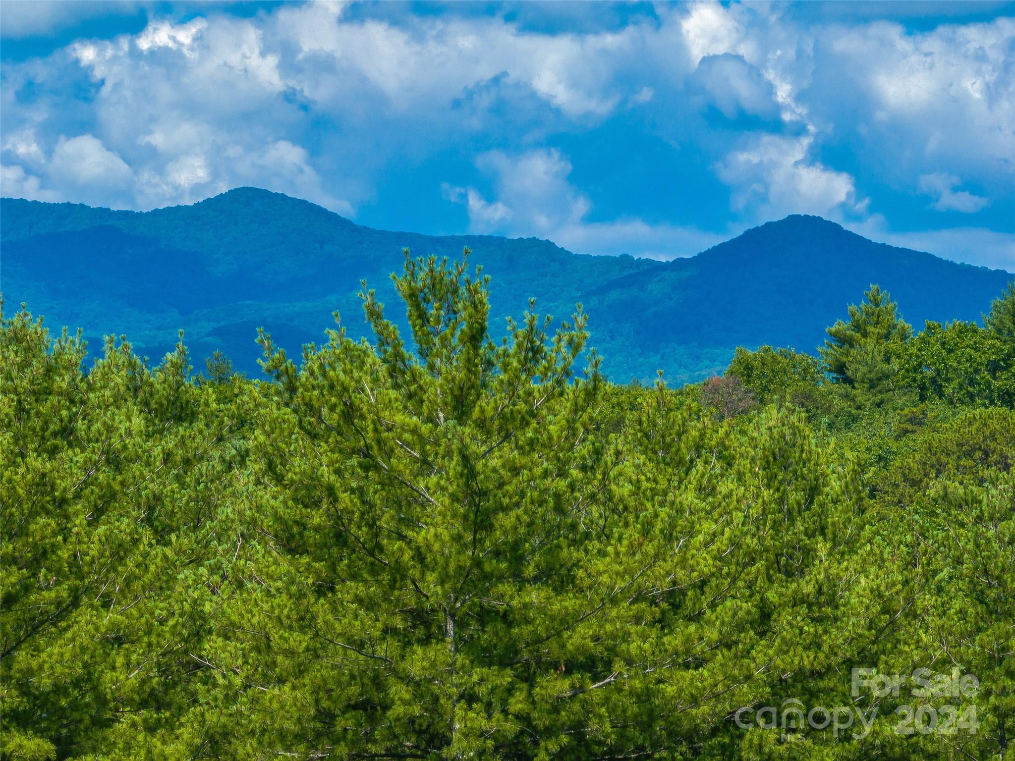 Ramble Biltmore Forest - Land