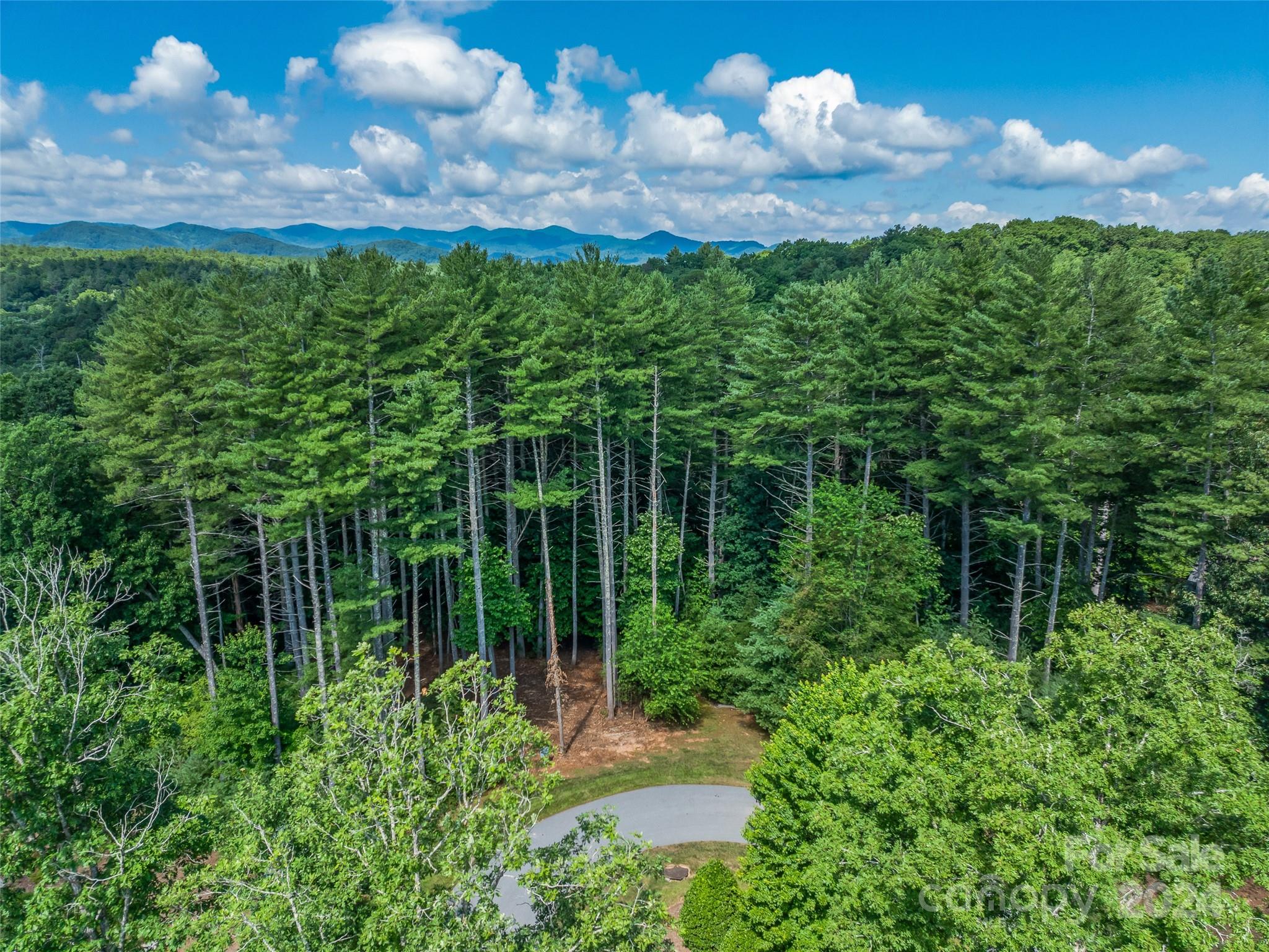 Ramble Biltmore Forest - Land