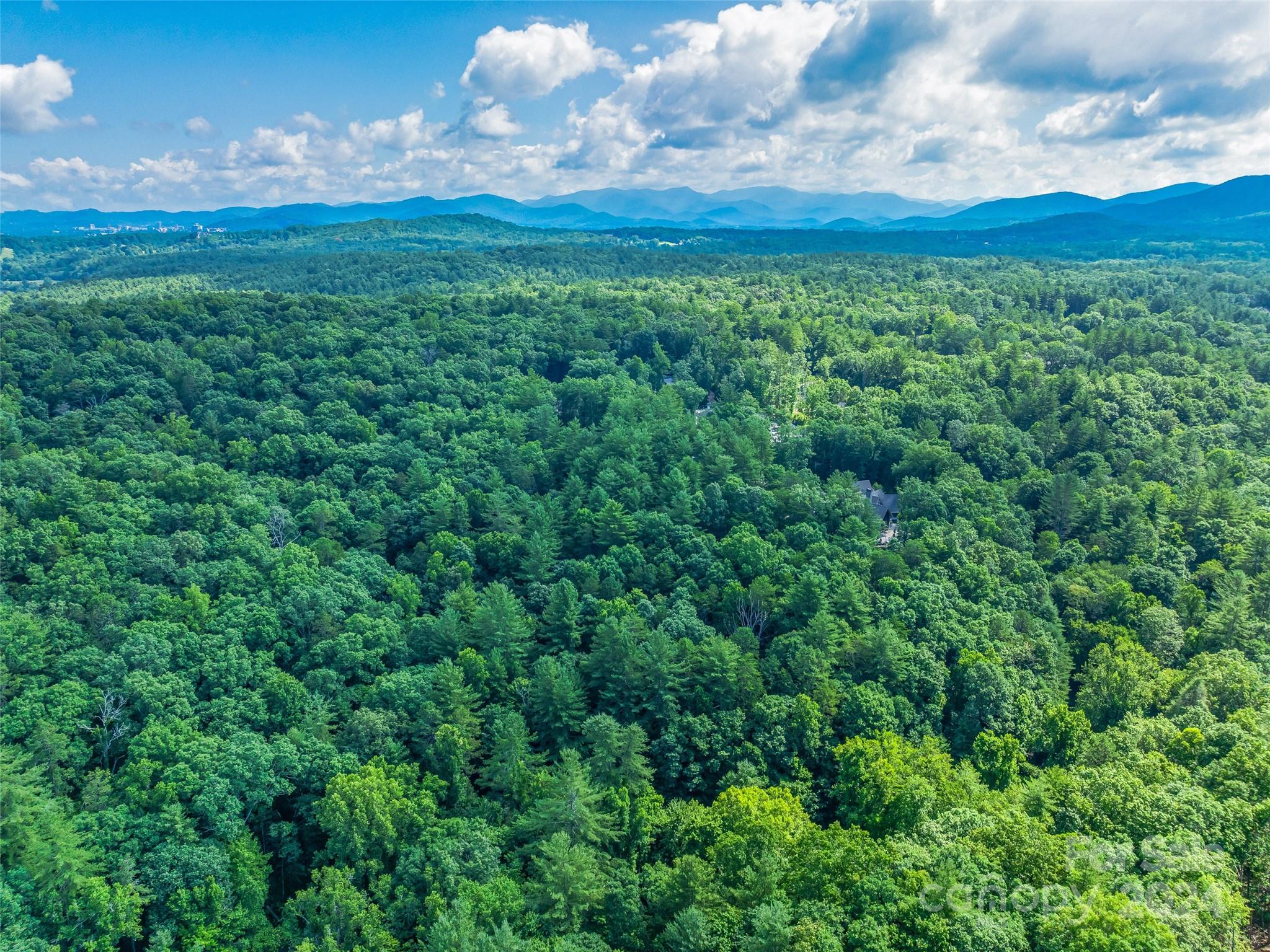 Ramble Biltmore Forest - Land