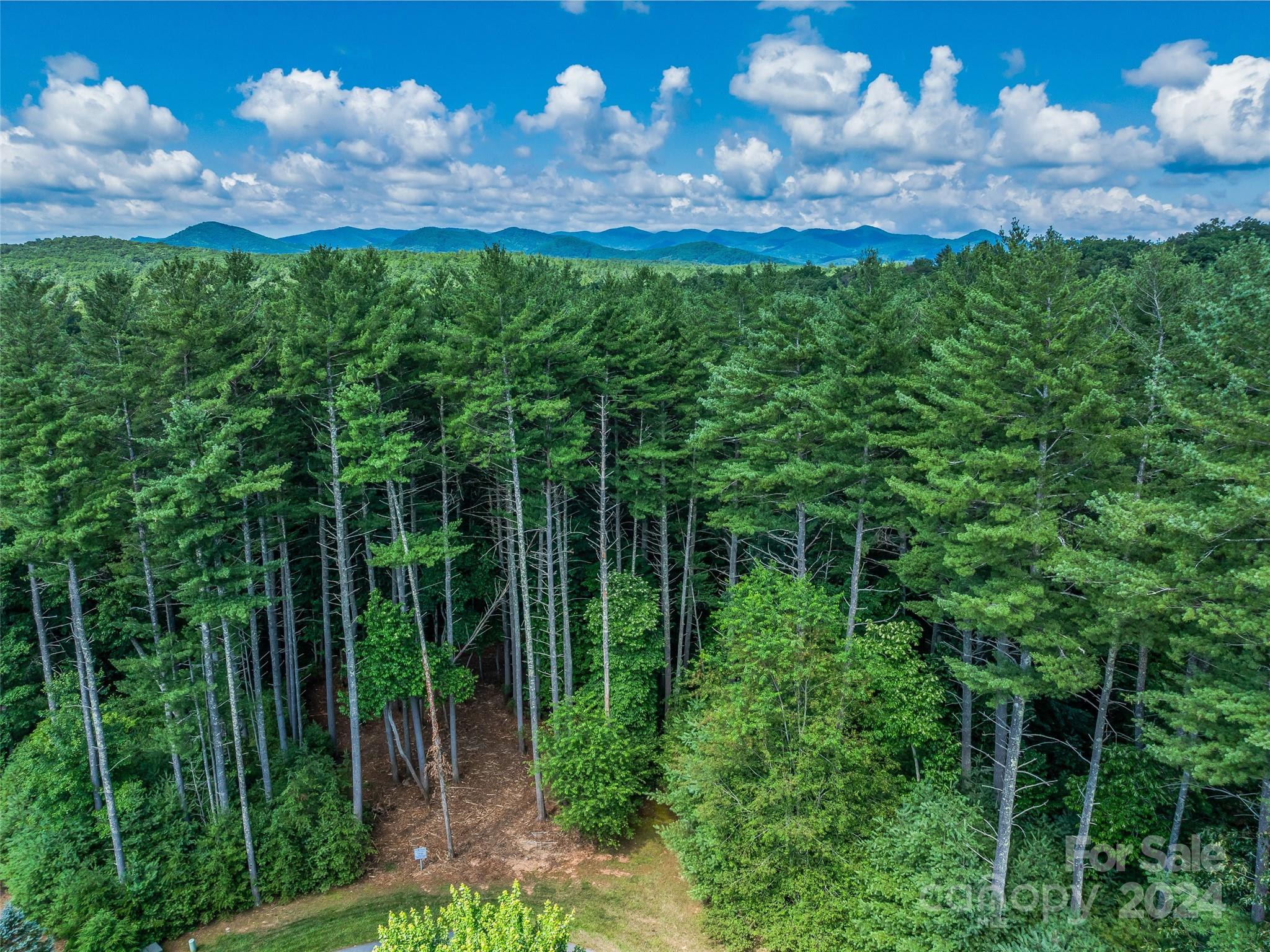 Ramble Biltmore Forest - Land