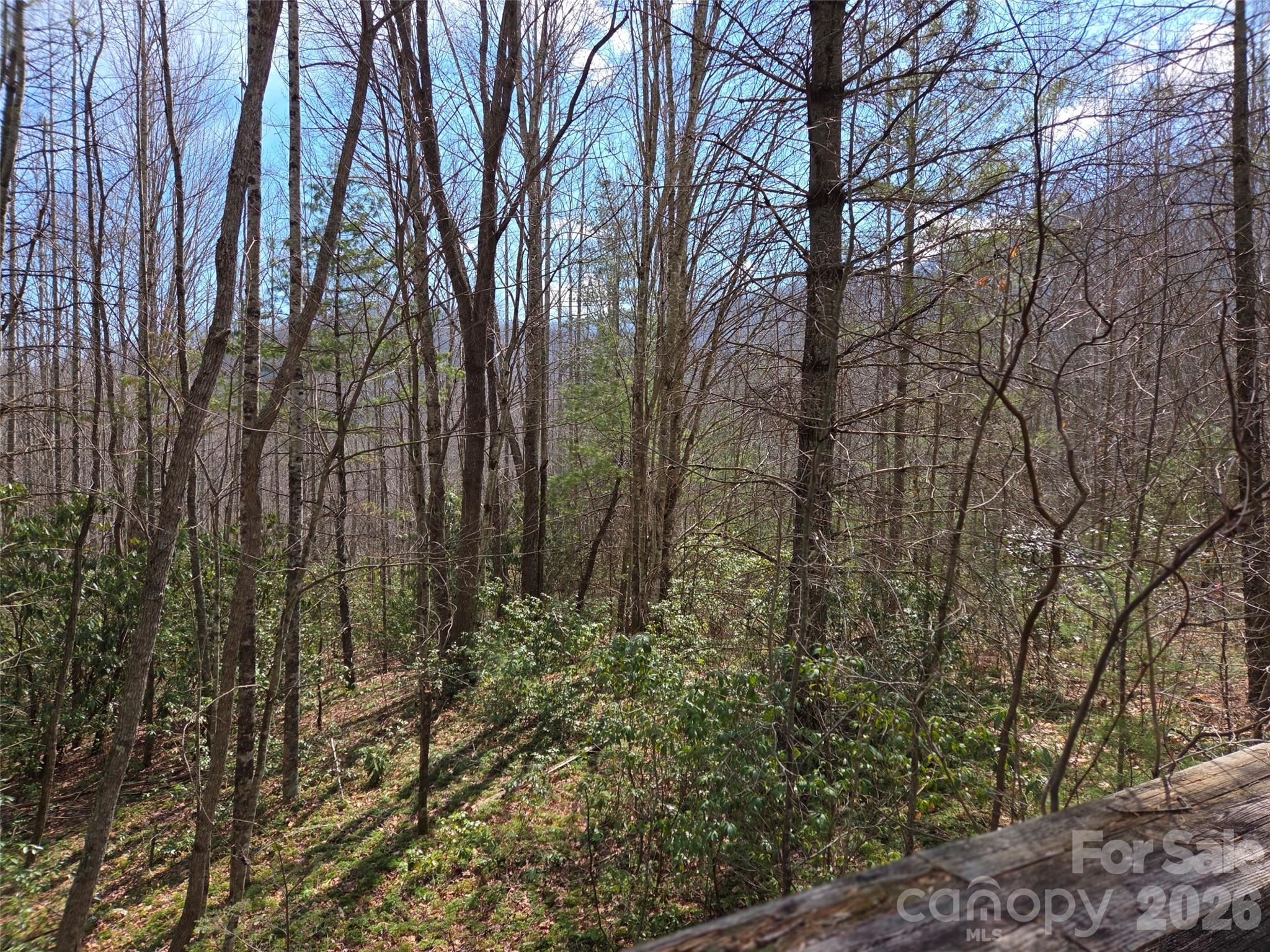 Cataloochee Vistas - Residential
