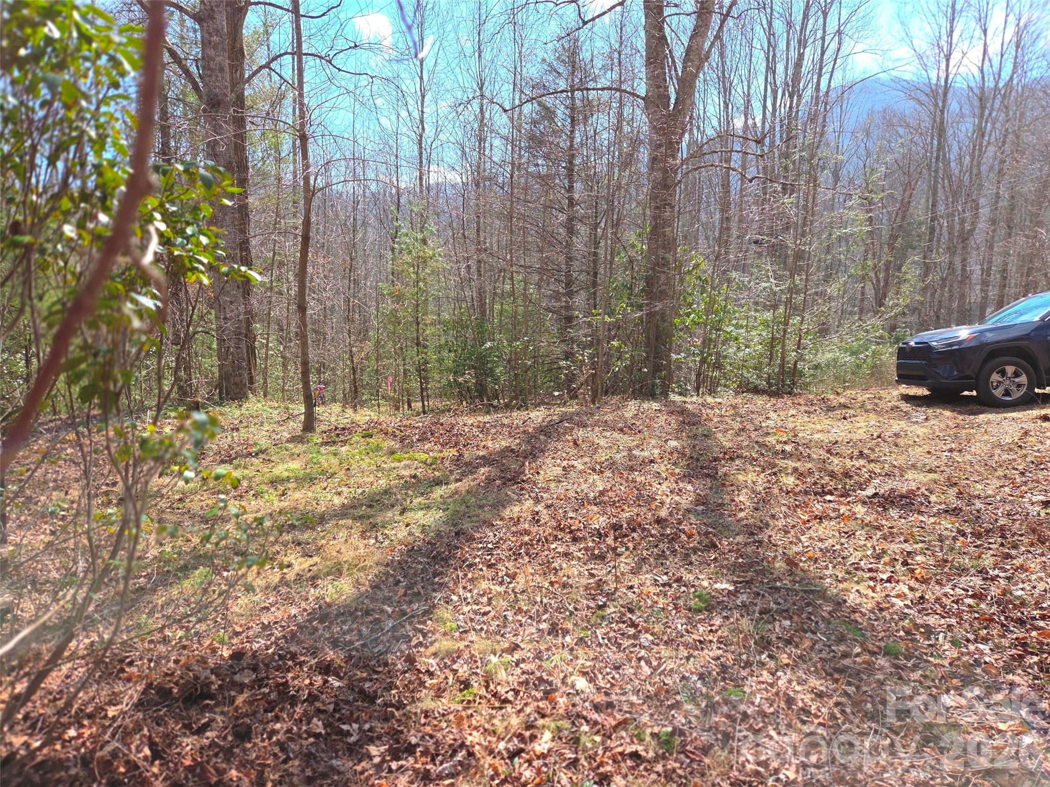 Cataloochee Vistas - Residential