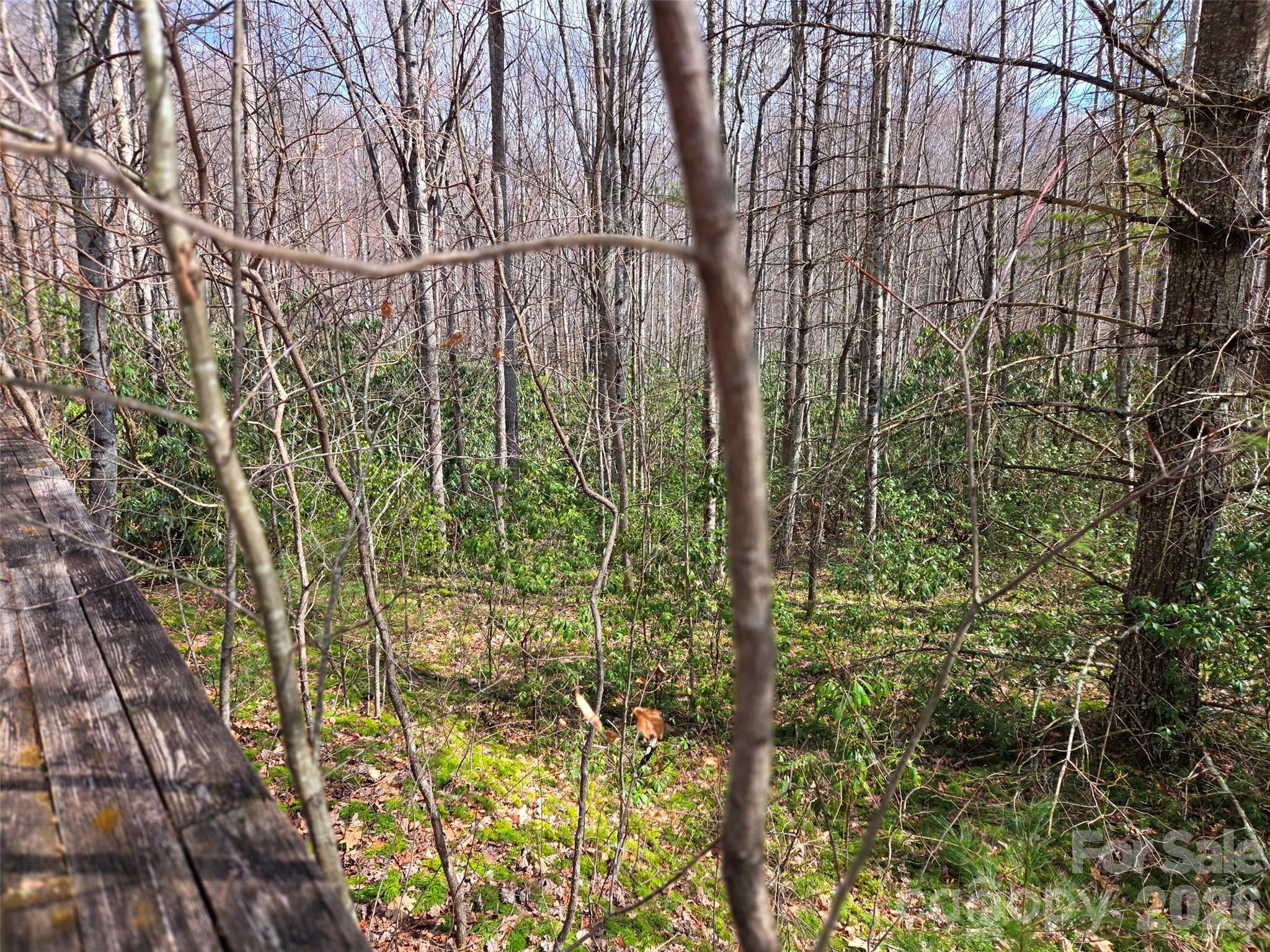 Cataloochee Vistas - Residential