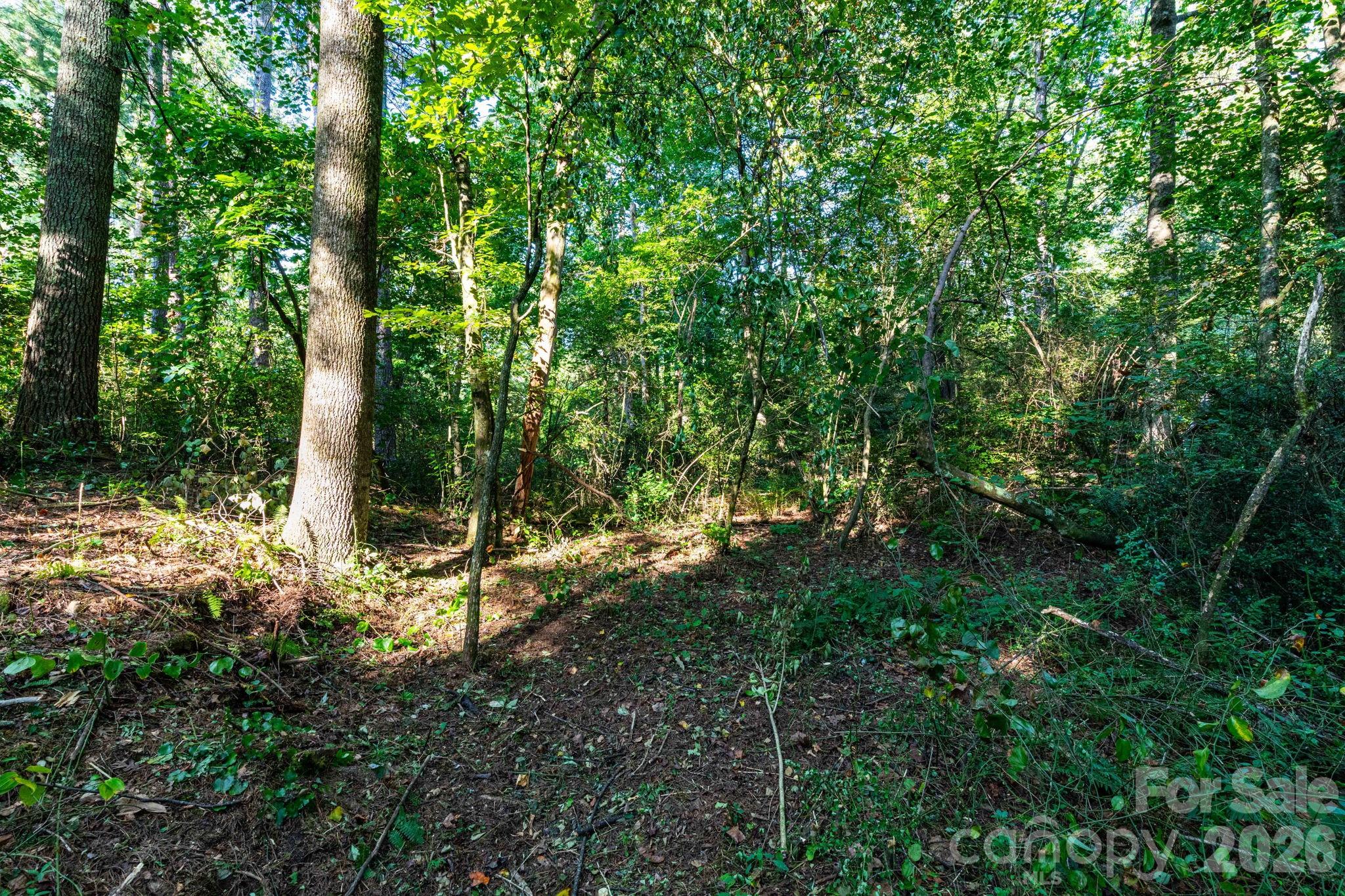 246 Classic Oaks Circle 10