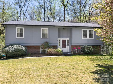 1 Laurel Forest Drive Horse Shoe NC 28742