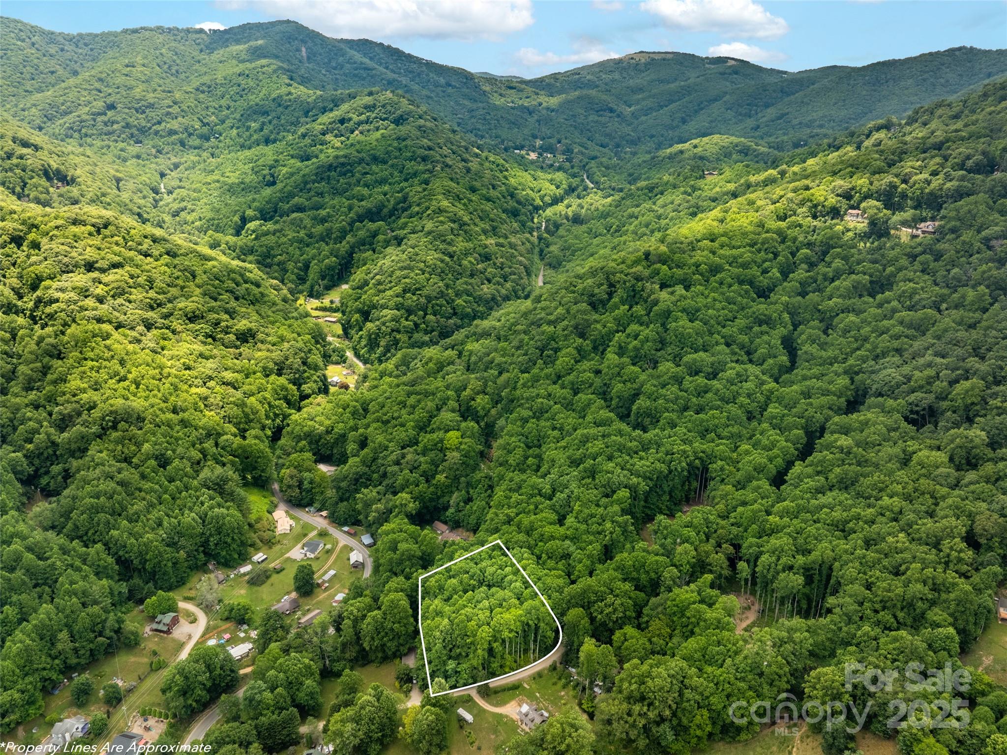 4 Roaring Creek Lane