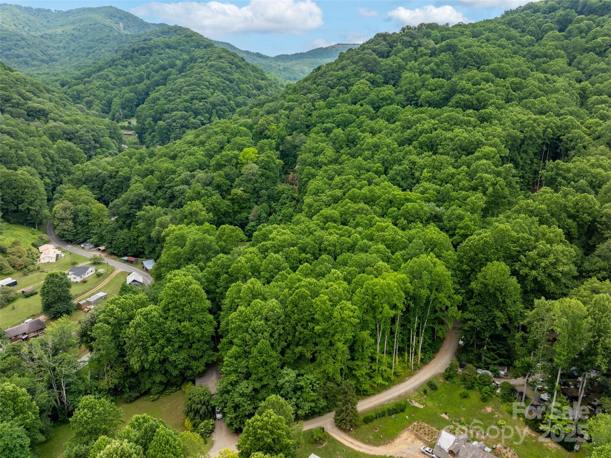 4 Roaring Creek Lane