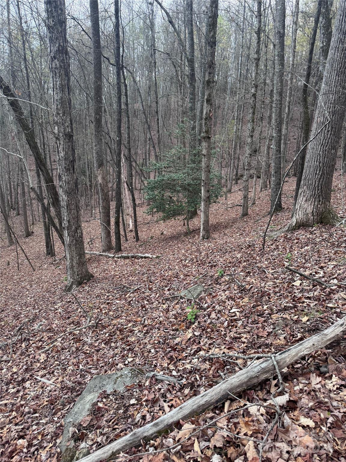 Rumbling Bald on Lake Lure - Land