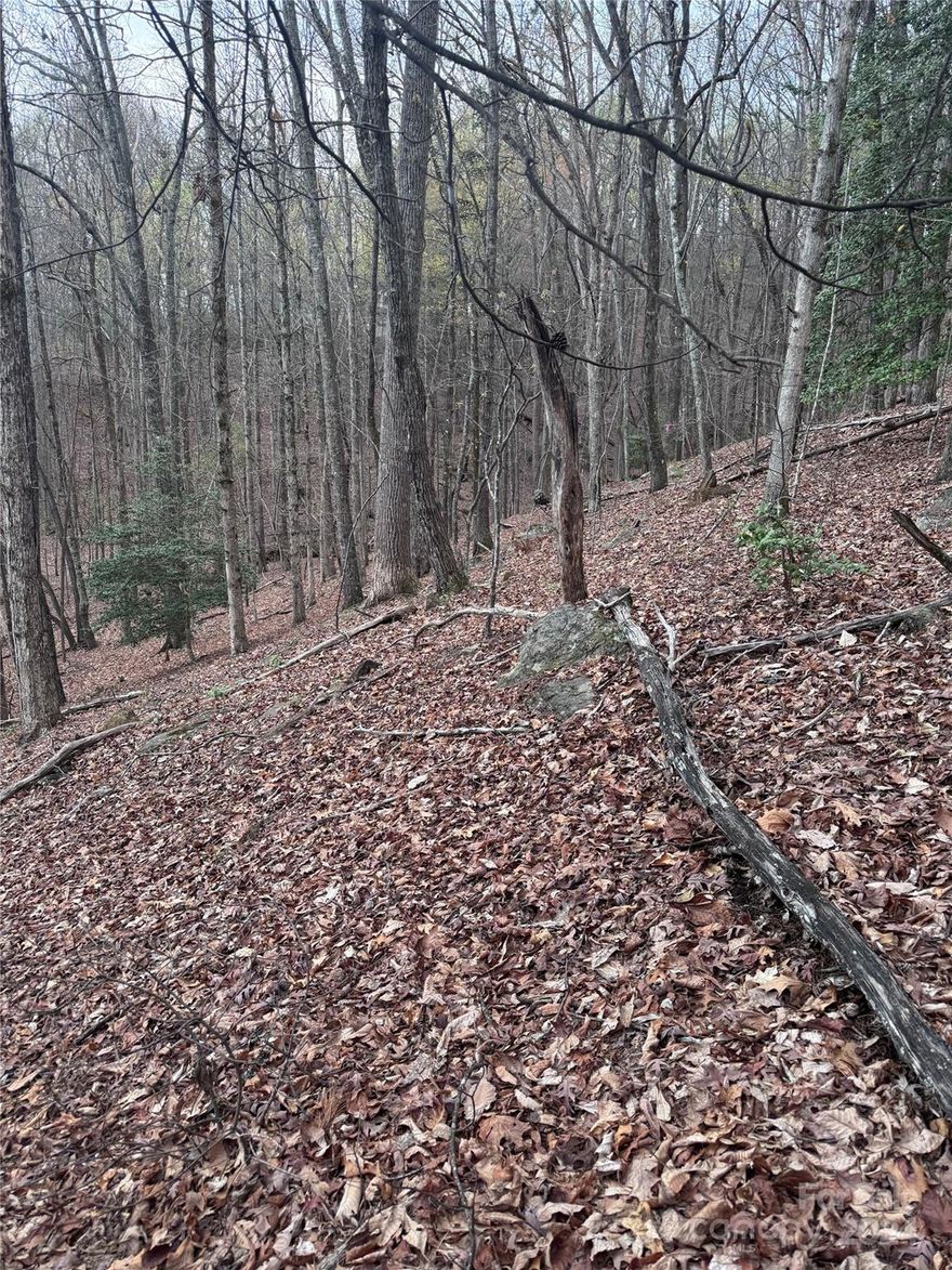 Welcome to Wilkerson Court Lot #16. Located in sought after Rumbling Bald on Lake Lure community. Lot #16, with potential breath taking winter views, unique rock formations, and hardwoods offer a peaceful setting on a cul-de-sac lot. Ideal for a private retreat. Enjoy all Rumbling Bald’s amenities including a 36 hole championship golf course, Beach & Lakefront Swimming, Zero Entry Pool with Lazy River, Bald Mountain Lake Private Fishing & Non-motorized Boat Slips,Gated Dog Park, Tennis & Pickleball courts,18-hole Miniature Golf Course, hiking trails and much more. Within one hour to Asheville. Start planning your dream vacation or forever home today!
