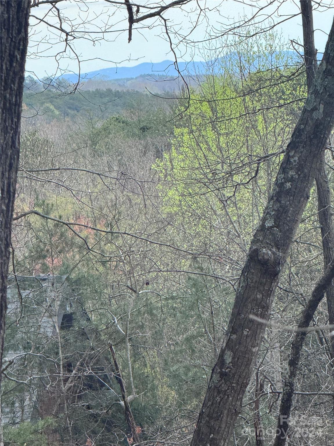 Rumbling Bald on Lake Lure - Land