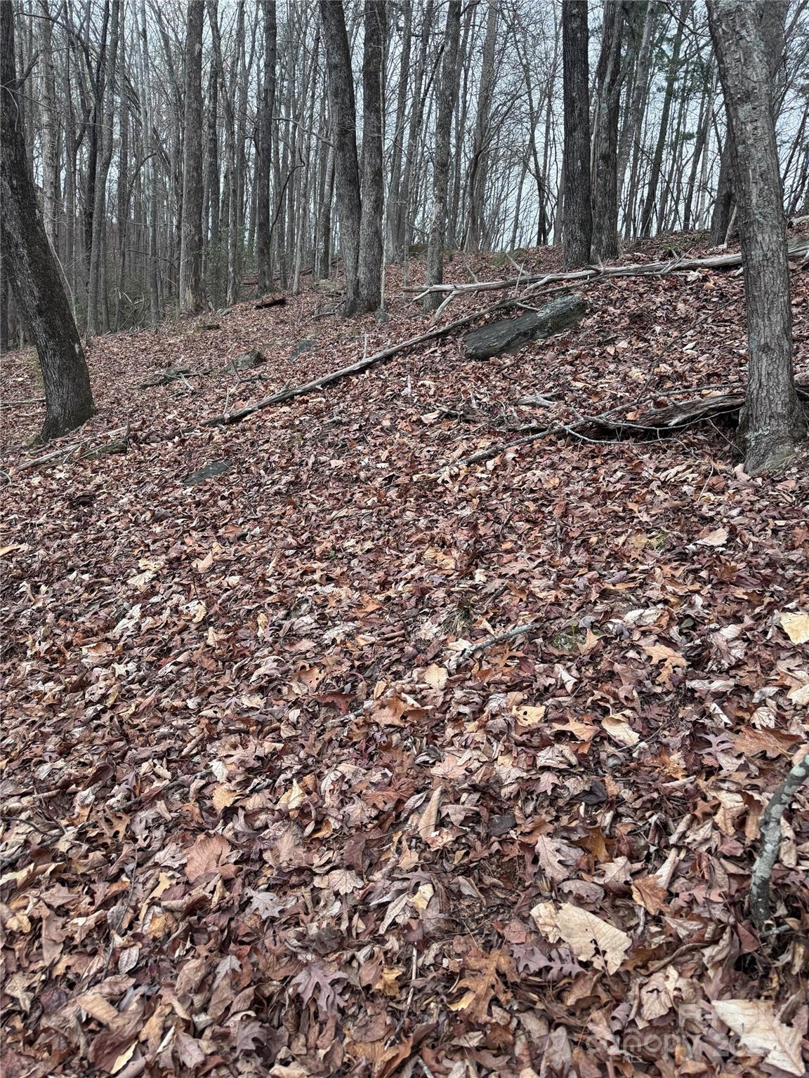 Rumbling Bald on Lake Lure - Land
