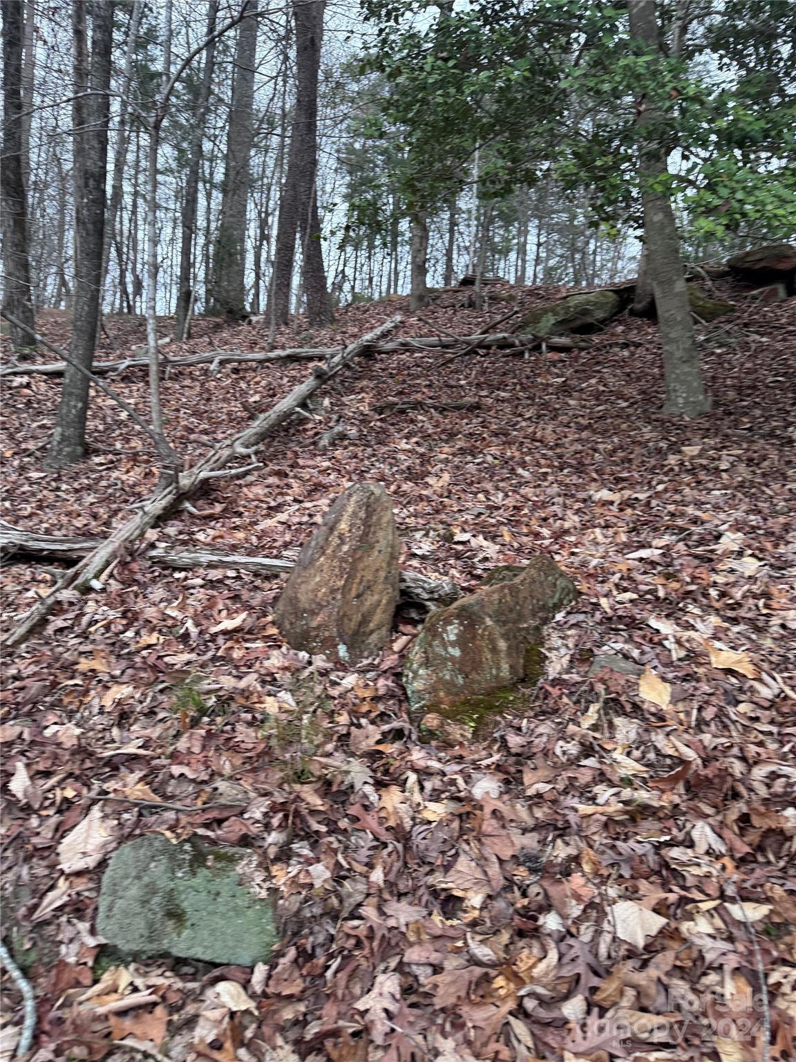 Rumbling Bald on Lake Lure - Land