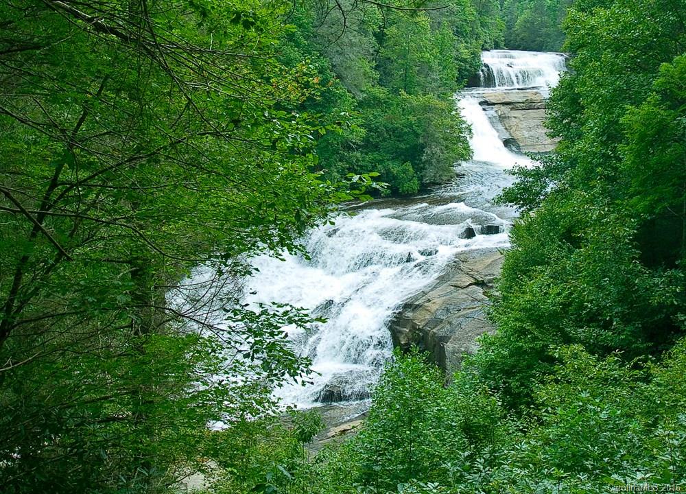 Sherwood Forest - Residential