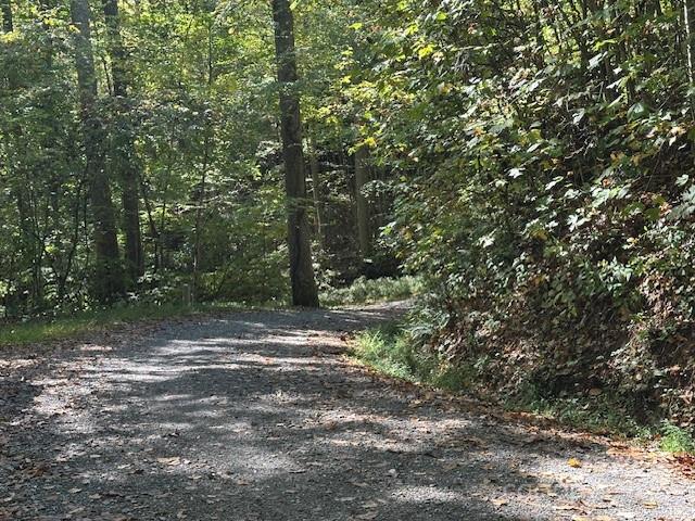 Cedar Creek Farms - Land