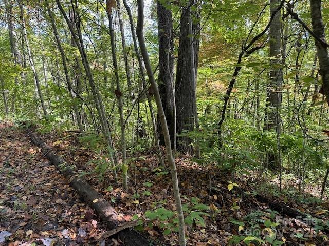 H16-H17 Shady Grove Road