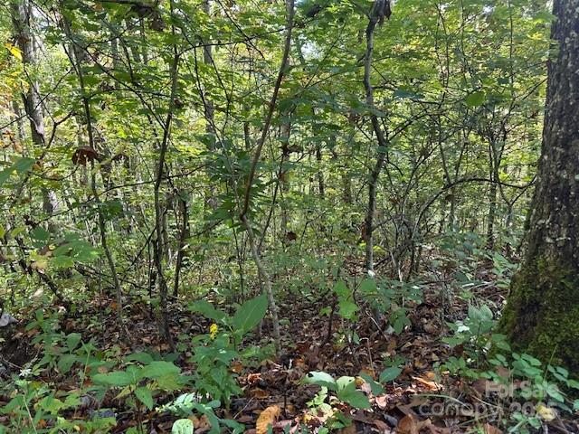 Cedar Creek Farms - Land