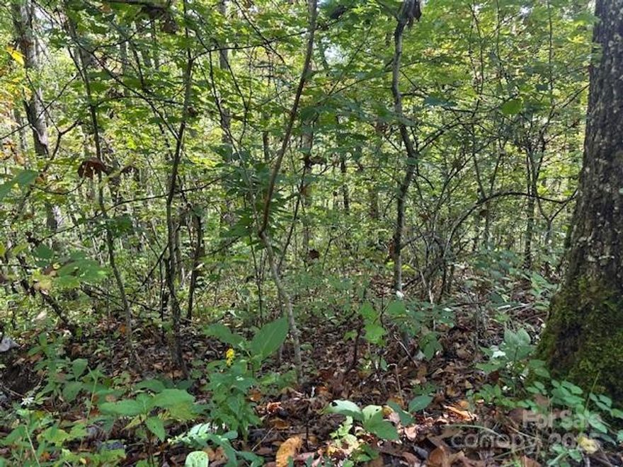 6.46 Acres in sought-after Cedar Creek Farms- Nature's Canvas Awaits! Featuring  a picturesque Cascading Creek that meanders through the landscape, elevate your vision with a homesite perched on a gentle knoll. Year round access with well-maintained roads just minutes from amenities and outdoor adventures. Cedar Creek Farms is known for its peaceful setting and spacious lots that embraces nature and neighborly living.