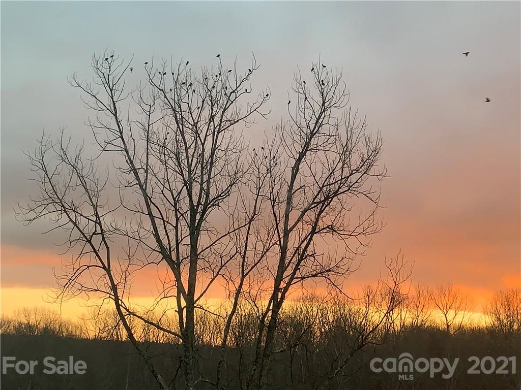 Mooreland Wood - Residential