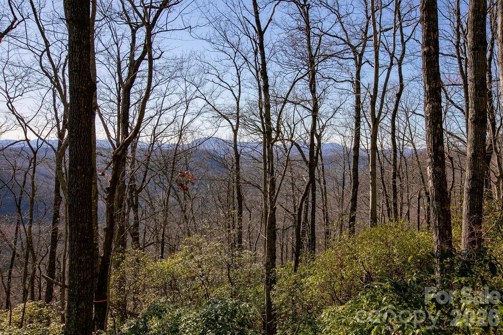 Joshua Summit - Land