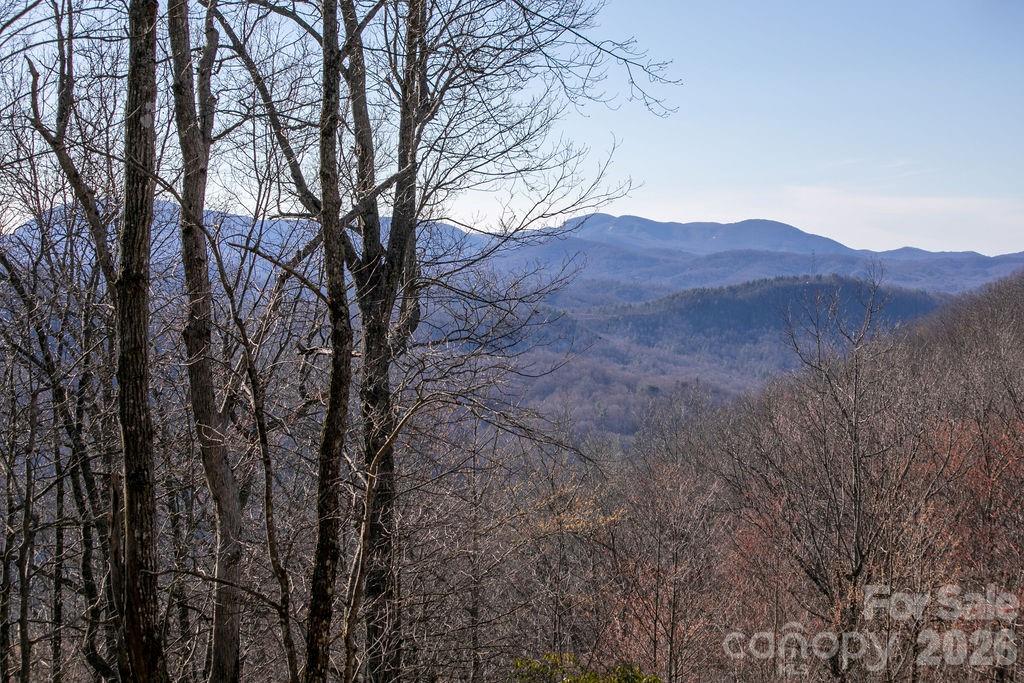 Joshua Summit - Land