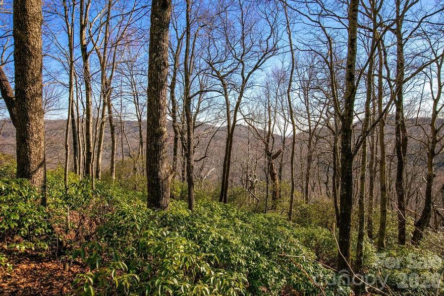 In the quaint, Joshua Summit section of the gated Line Runner Ridge Community, this +/- 2.10 acre lot, Lot #17, offers long range views, a manageable build site, and an active 2BR septic permit. Create your own mountain getaway, build your next vacation home, and/or construct your primary dream home just minutes away from the best hiking, biking, and fishing our area has to offer. Don't hesitate, this parcel is going to attract some attention.