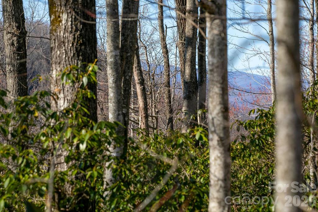 Joshua Summit - Land