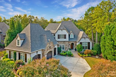Photo of 16856 Ashton Oaks Drive, Charlotte, NC 28278 (MLS # 4082850)