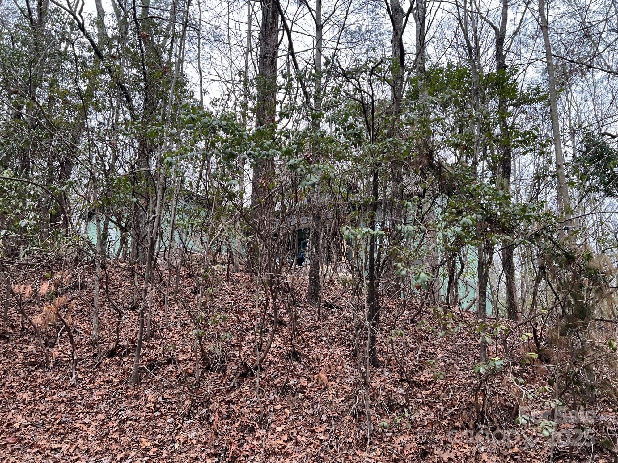 Connestee Falls - Residential