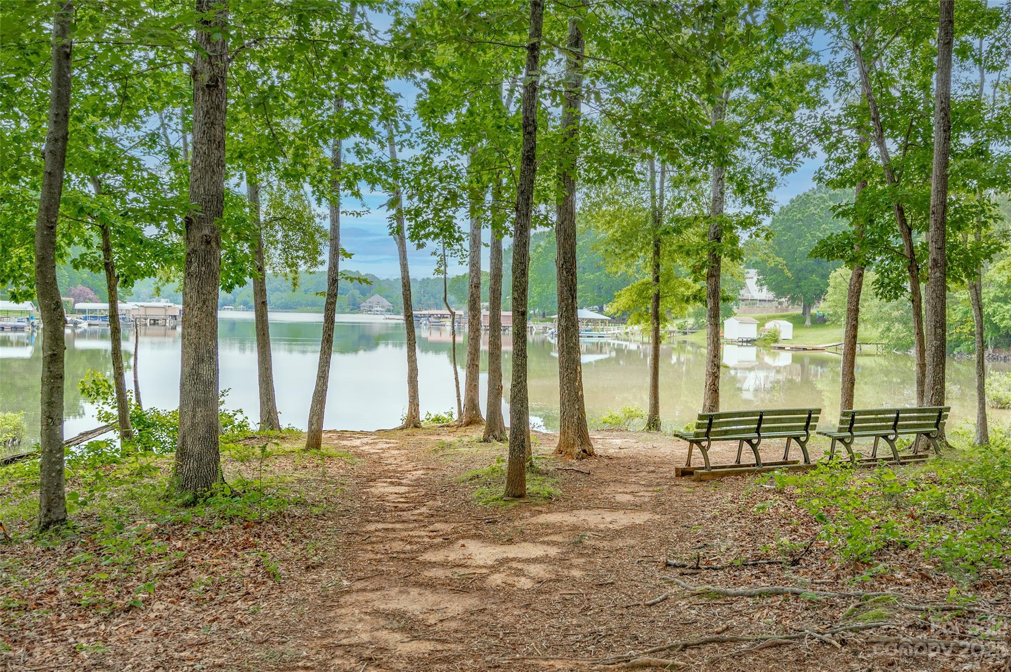 Water Oak - Residential