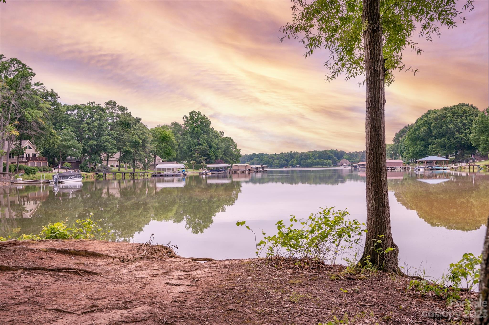 Water Oak - Residential