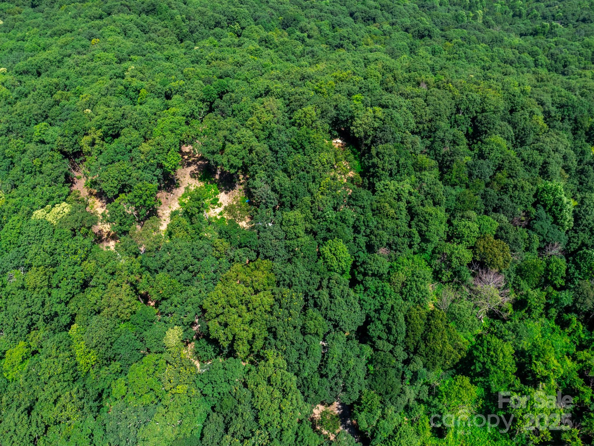 39.99 Acres Misty Dawn Cove 5A & 13A