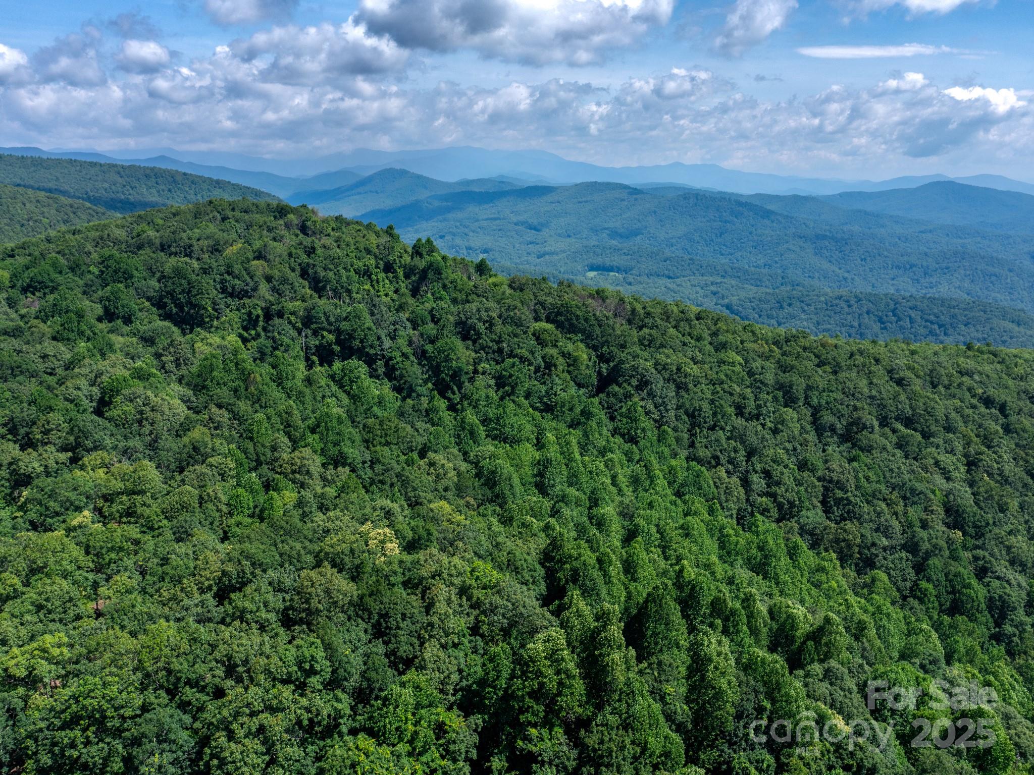 39.99 Acres Misty Dawn Cove 5A & 13A