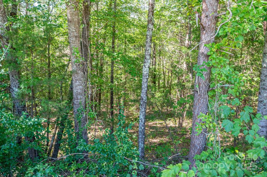 Bring your own builder or ask about ours! This historically rich cul-de-sac community offers peaceful living just 5 min from downtown Rutherfordton, 4 min to R-S Central High, and 6 min to Rutherford Regional Health. Centrally located—only 20 min to Forest City, Tryon International Equestrian Center, and Cleghorn Golf & Sports Club, and within 1 hour of Asheville, Hendersonville, and Charlotte. Approx. 0.5 to 1+ acre wooded lots with city water and underground utilities. Septic needed. Located in the "Geo-thermal Belt" for a mild year-round climate—perfect for walking the Purple Martin Trail or enjoying local festivals, concerts, camping, and equestrian events.