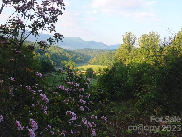 Lot 19 Sunkota Trail