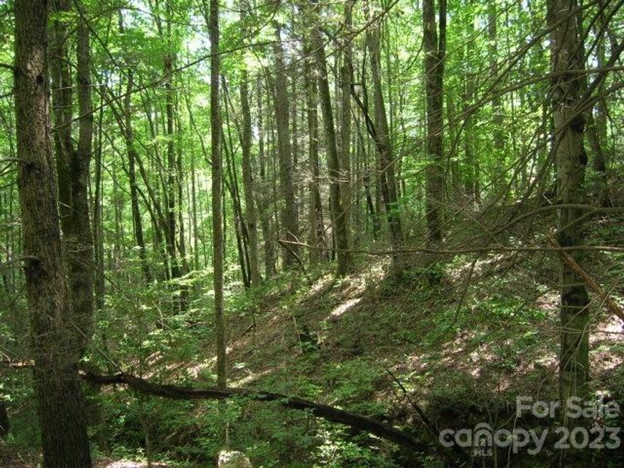 Wooded, looks over stream! Beautiful, friendly, growing community adjoining the GSMNP. Trail head is Thomas Divide. 10 mins from Bryson. Property has wide easy gravel roads, accessible year long. Fantastic views as one enjoys the changing seasons. Spectacular mountain laurel in spring, perennial flower beds and bulbs throughout. Original farm house at center of community equine facility, which has a new barn, arena and round pen, plus good parking. Hiking or riding trail surrounds the community pastures.