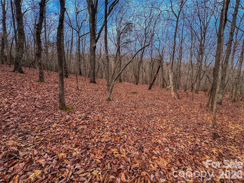 The Springs At High Rock - Land
