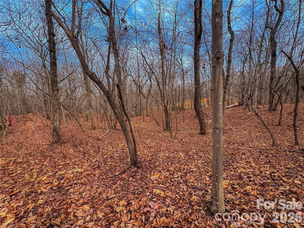 The Springs At High Rock - Land
