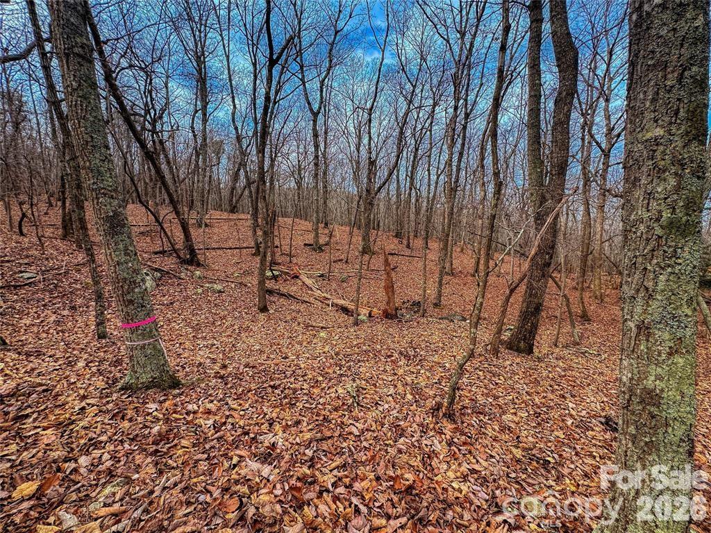 The Springs At High Rock - Land