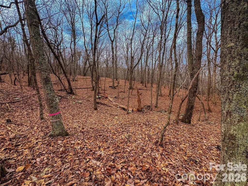 The Springs At High Rock - Land